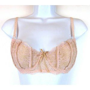 DKNY Belle Du Jour Underwire Balconette Lace Bra Sexy Pink Nude 34B
